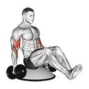 Dumbbell Biceps Curl V Sit On Bosu Ball form demonstration - targeted for Biceps Upper Arms workouts