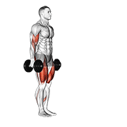 Dumbbell Lunge With Bicep Curl form demonstration - targeted for Biceps Upper Arms workouts
