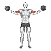 Dumbbell High Curl exercise animation