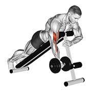 Dumbbell One Arm Prone Curl exercise animation