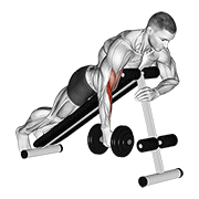 Dumbbell One Arm Prone Hammer Curl exercise animation