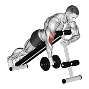Dumbbell One Arm Reverse Spider Curl form demonstration - targeted for Biceps Upper Arms workouts