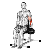 Dumbbell One Arm Seated Hammer Curl form demonstration - targeted for Biceps Upper Arms workouts