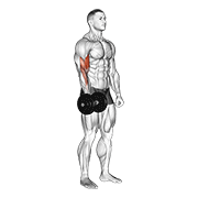 Dumbbell One Arm Standing Curl exercise animation
