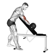 Dumbbell One Arm Zottman Preacher Curl form demonstration - targeted for Biceps Upper Arms workouts