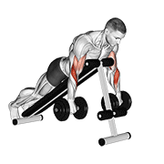 Dumbbell Reverse Spider Curl exercise animation