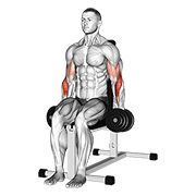 Dumbbell Seated Hammer Curl exercise animation