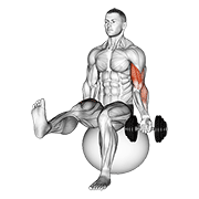 Dumbbell Seated One Arm Bicep Curl On Exercise Ball With Leg Raised exercise animation