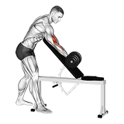 Dumbbell Standing One Arm Curl Over Incline Bench form demonstration - targeted for Biceps Upper Arms workouts