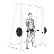 Smith Machine Bicep Curl form demonstration - targeted for Biceps Upper Arms workouts