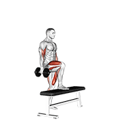 Dumbbell Step Up Single Leg Balance With Bicep Curl exercise animation