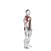 Posterior Step To Overhead Reach exercise animation