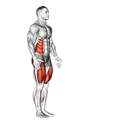 Lunge With Twist exercise animation