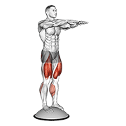 Squat On Bosu Ball exercise animation