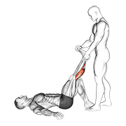 Assisted Lying Calves Stretch exercise animation