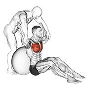 Assisted Seated Pectoralis Major Stretch With Stability Ball form demonstration - targeted for Pectorals Chest workouts