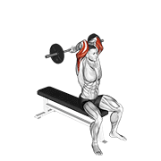Barbell Seated Close Grip Behind Neck Triceps Extension form demonstration - targeted for Triceps Upper Arms workouts