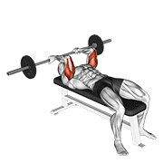 Barbell Reverse Grip Skullcrusher exercise animation