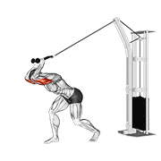 Cable High Pulley Overhead Tricep Extension form demonstration - targeted for Triceps Upper Arms workouts
