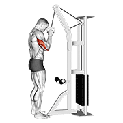 Cable One Arm Tricep Pushdown exercise animation