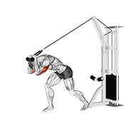 Cable Rope High Pulley Overhead Tricep Extension exercise animation