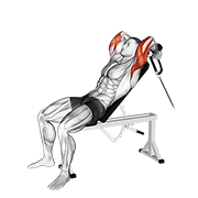 Cable Rope Incline Tricep Extension form demonstration - targeted for Triceps Upper Arms workouts