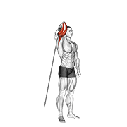 Cable Standing Reverse Grip One Arm Overhead Tricep Extension form demonstration - targeted for Triceps Upper Arms workouts