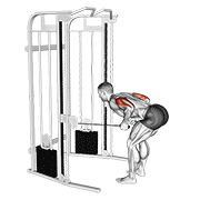 Cable Two Arm Tricep Kickback exercise animation
