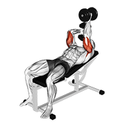 Dumbbell Lying Alternate Extension exercise animation