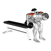 Dumbbell Seated Bent Over Alternate Kickback form demonstration - targeted for Triceps Upper Arms workouts