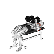 Dumbbell Close Grip Press exercise animation
