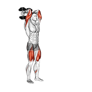 Dumbbell Forward Lunge Triceps Extension form demonstration - targeted for Triceps Upper Arms workouts