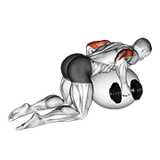 Dumbbell Kickbacks On Exercise Ball exercise animation