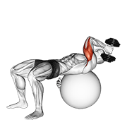 Dumbbell One Arm French Press On Exercise Ball form demonstration - targeted for Triceps Upper Arms workouts