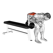 Dumbbell Seated Bent Over Triceps Extension form demonstration - targeted for Triceps Upper Arms workouts
