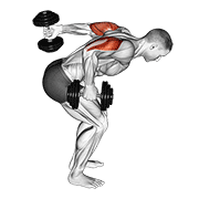 Dumbbell Standing Alternating Tricep Kickback exercise animation
