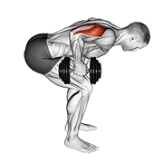Dumbbell Standing Bent Over One Arm Triceps Extension form demonstration - targeted for Triceps Upper Arms workouts