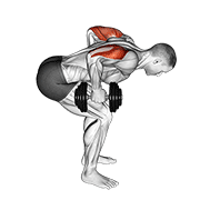 Dumbbell Standing Bent Over Two Arm Triceps Extension form demonstration - targeted for Triceps Upper Arms workouts