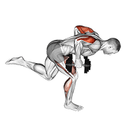 Dumbbell Tricep Kickback With Stork Stance form demonstration - targeted for Triceps Upper Arms workouts