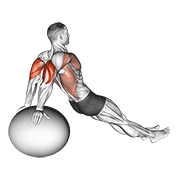 Exercise Ball Dip form demonstration - targeted for Triceps Upper Arms workouts