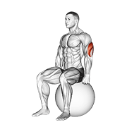 Exercise Ball Seated Triceps Stretch exercise animation