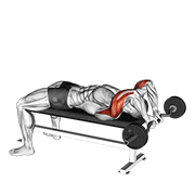 EZ Bar Lying Close Grip Triceps Extension Behind Head form demonstration - targeted for Triceps Upper Arms workouts