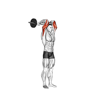 EZ Bar Standing French Press form demonstration - targeted for Triceps Upper Arms workouts