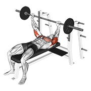 Barbell Pin Presses exercise animation