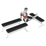 Weighted Three Bench Dips exercise animation