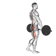 Barbell Single Leg Deadlift exercise animation