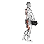 Dumbbell Single Leg Deadlift exercise animation