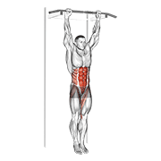 Hanging Leg Hip Raise exercise animation