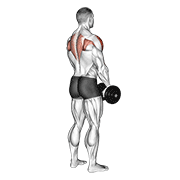 Dumbbell Upright Row (back Pov) exercise animation