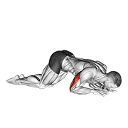 Bodyweight Kneeling Triceps Extension exercise animation